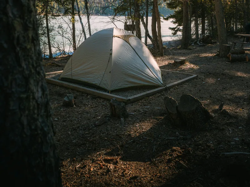 Cream tent beneath evergreens beside a quiet lake